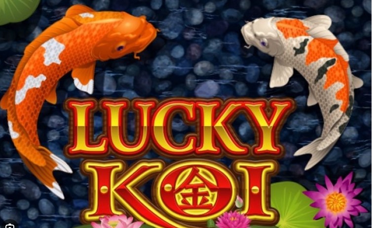 Lucky Koi